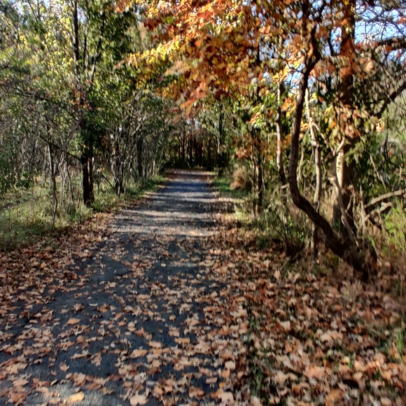 Meet your Posher, Stephanie - Picture 1 of 1